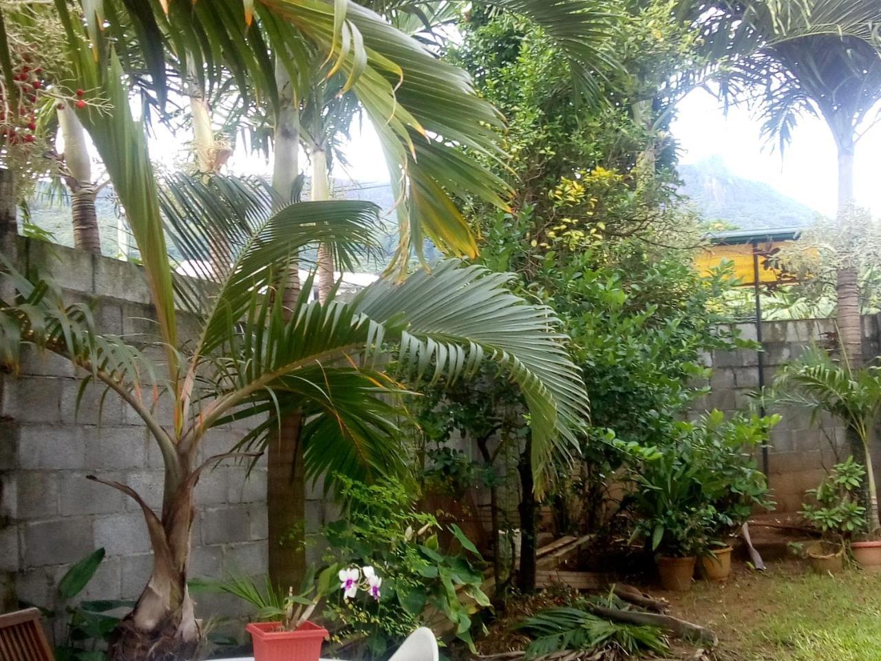 Corner Bay Beau Vallon,mahe Apartment *