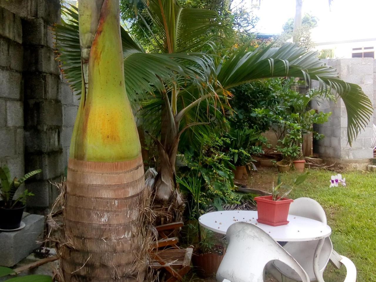 Apartment Corner Bay Beau Vallon,mahe